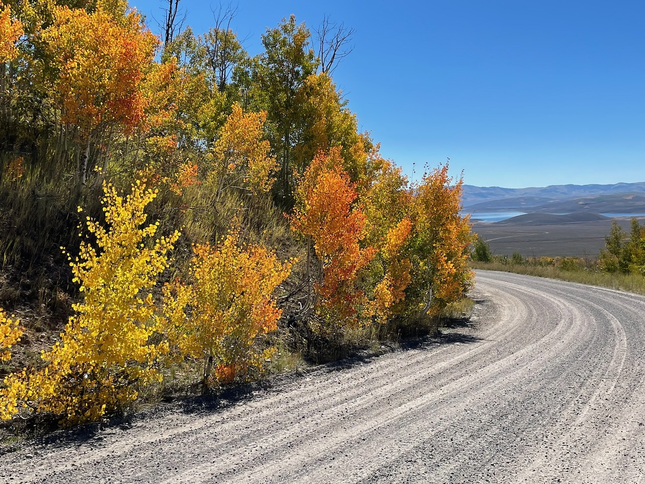 Fall aspens gravel road mountain Utah